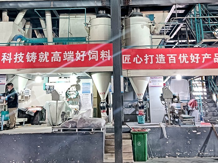 全自动化生产设备 (2)