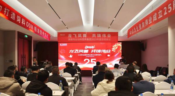 龙飞凤舞共铸伟业｜2023年度伟业集团总结会议圆满召开！