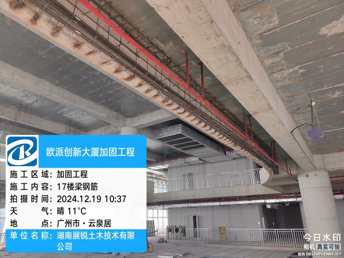 图片8