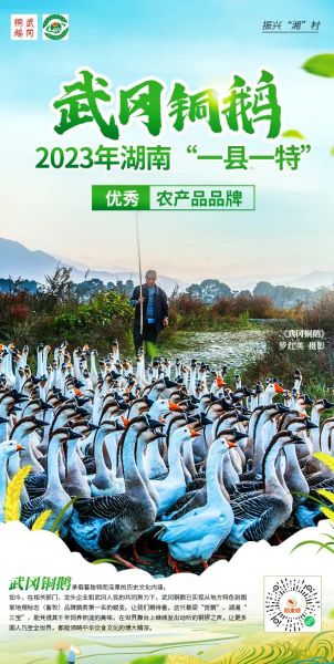 振兴“湘”村｜武冈铜鹅入选湖南“一县一特”优秀农产品品牌