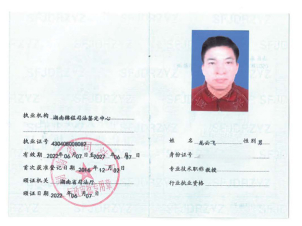 龙云飞