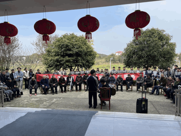 图片7