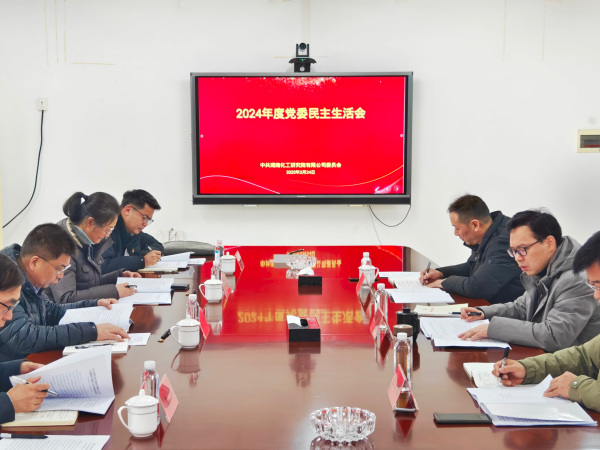 湖南化工研究院党委召开2024年度民主生活会