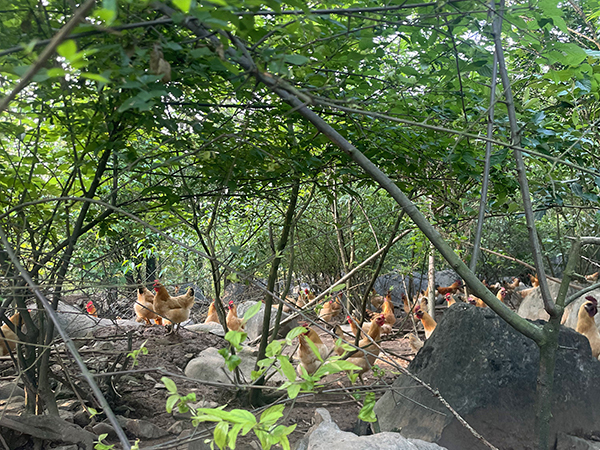 基地图片