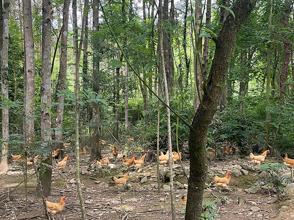 基地图片