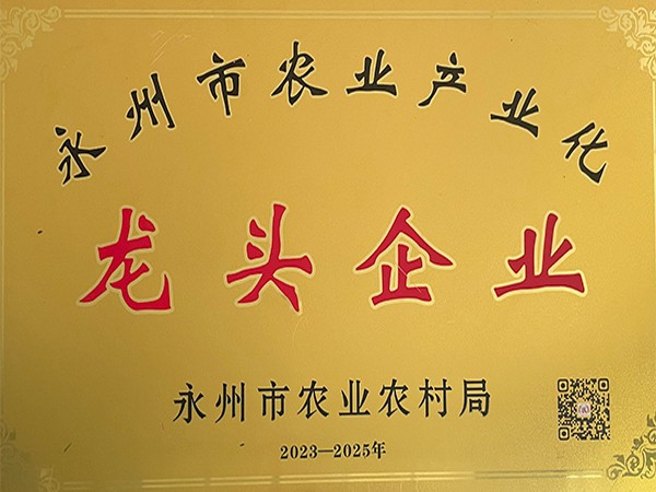 龙头企业