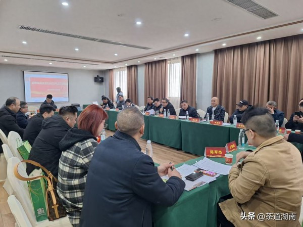 邵阳红促进会召开2025年工作座谈会 谋划品牌发展新篇章
