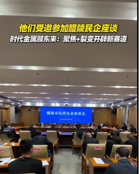 董事長參加醴陵市民企座談會