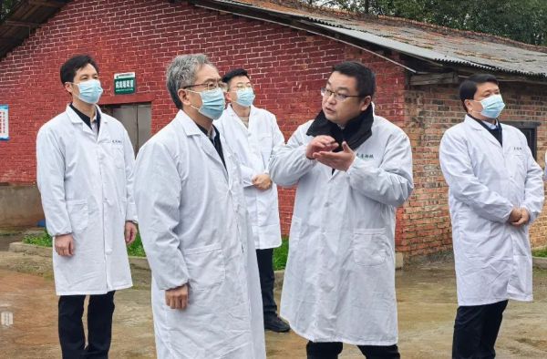 省科技厅李志坚书记莅临武冈铜鹅公司调研