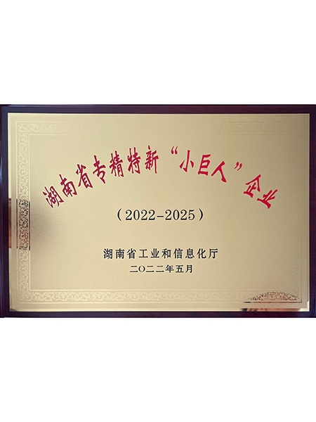 湖南省专精特新小巨人企业