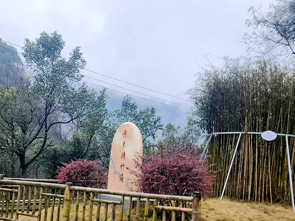 赤木滩竹海