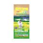 洞庭湖湿地大草原寻宝+华龙码头看长江+良心堡金色花海 赏油菜花汽车纯玩一日游