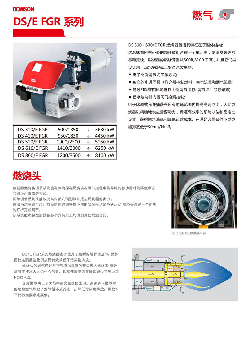 意大利DOWSON燃烧器DS系列（产品详情）3