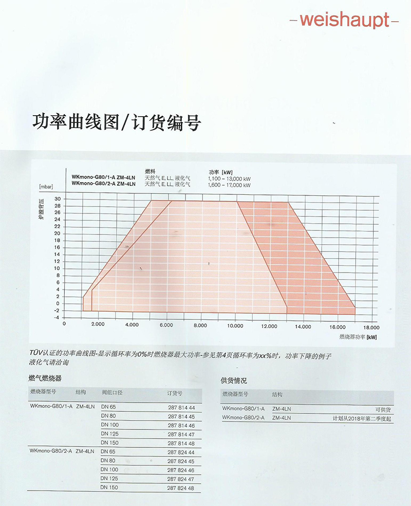 德国威索燃气燃烧4LN结构（带烟气外循环）G80（产品详情）