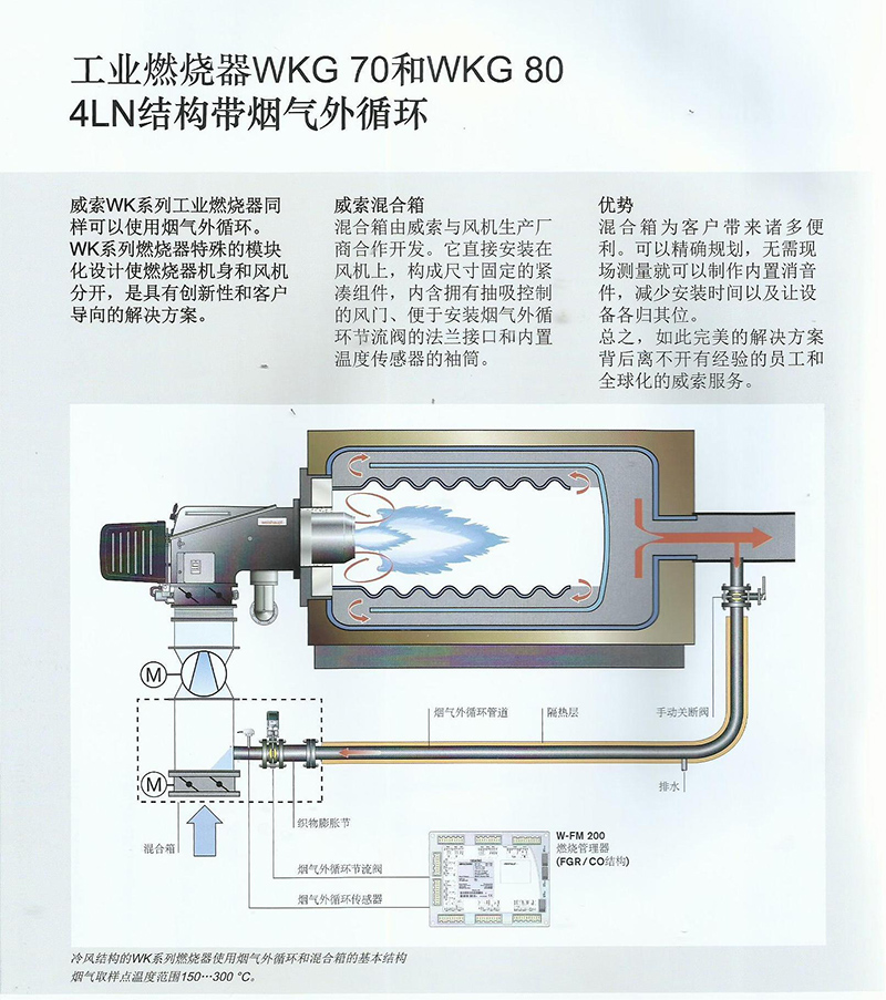 德国威索燃气燃烧4LN结构（带烟气外循环）G80（产品详情）