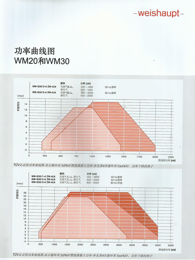 德国威索燃气燃烧4LN结构（带烟气外循环）产品详情1
