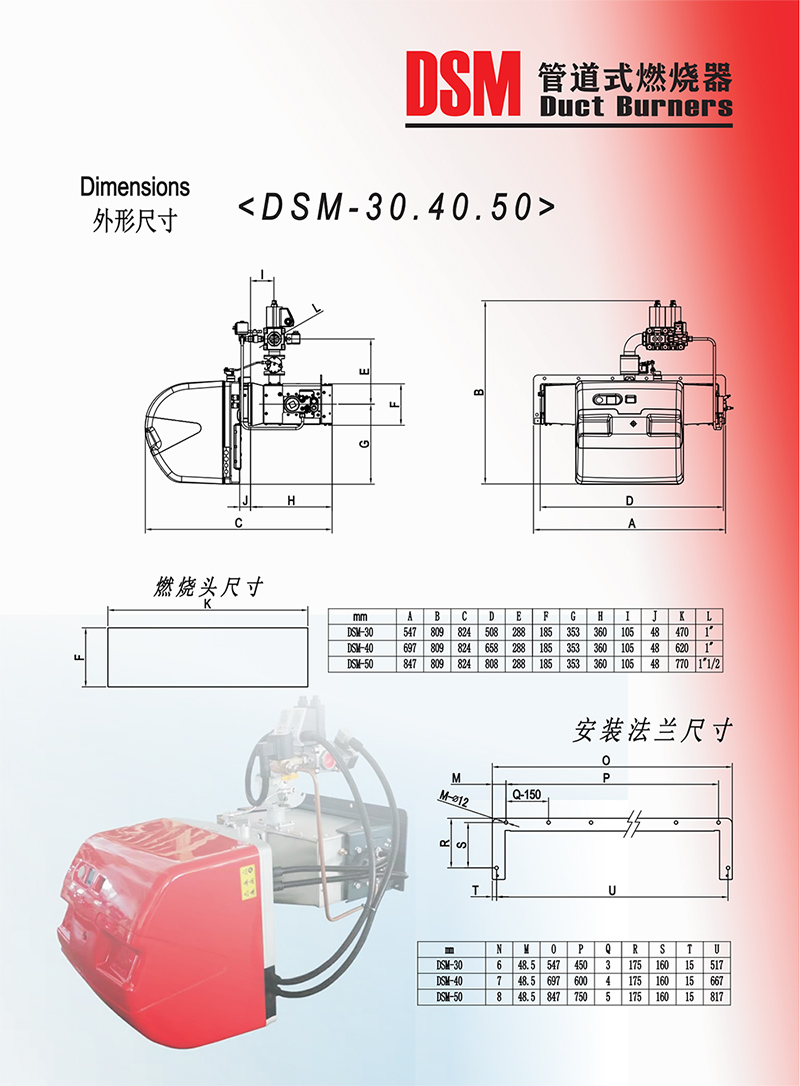 意大利DOWSON管道式燃烧器（产品详情）03