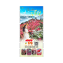 湖北武汉【云雾山杜鹃花+恐龙谷】汽车一日游