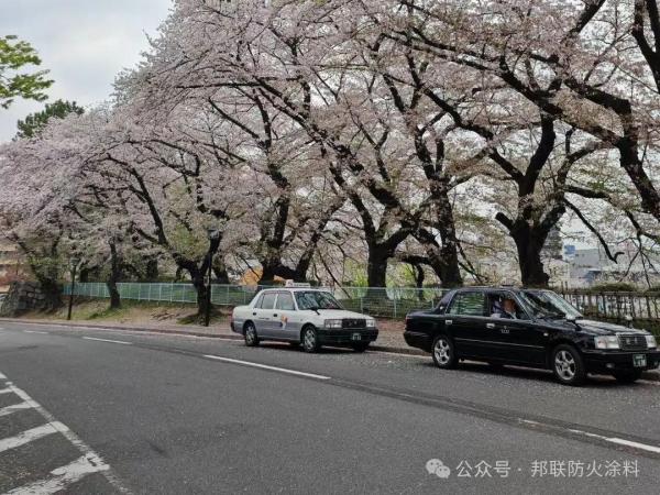跨越山海，智啟未來——湖南邦聯(lián)涂料總經理張廣巍 赴日研學探索精益智造新征程