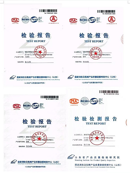 檢驗報告