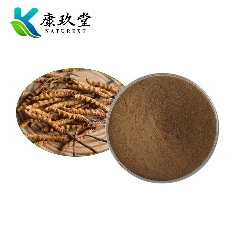 Cordyceps militaris Extract