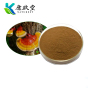 Organic Reishi Mushroom Extract