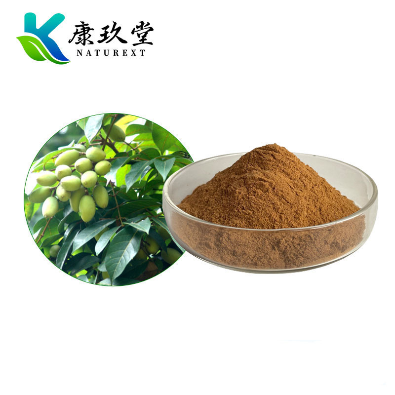 Olive Leaf Extract
