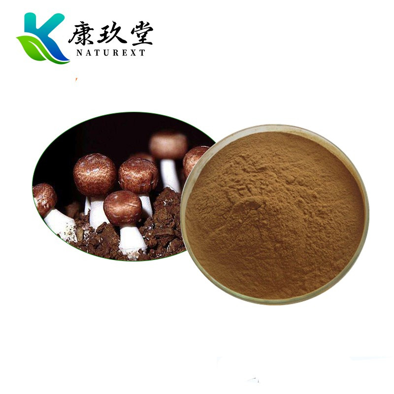 Organic Agaricus Blazei Extract