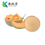Cantaloupe powder