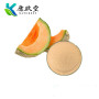 Cantaloupe powder