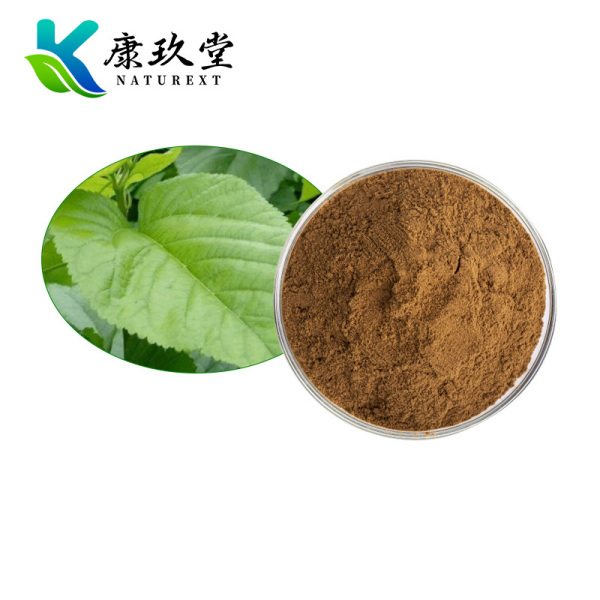Mulberry Leaf Extract