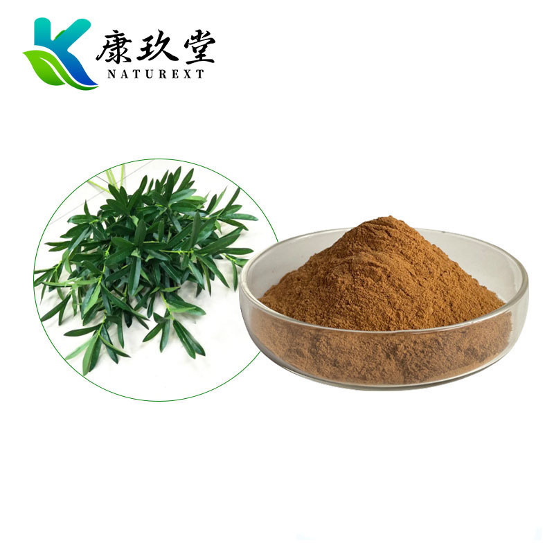 Olive Leaf Extract
