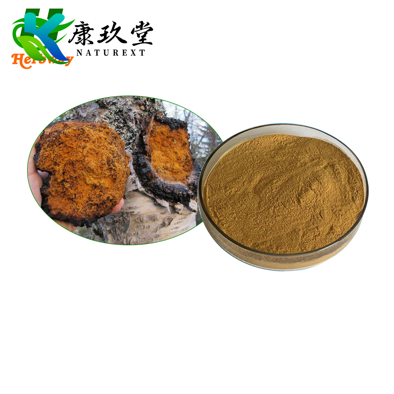 Organic Chaga Mushroom Extract