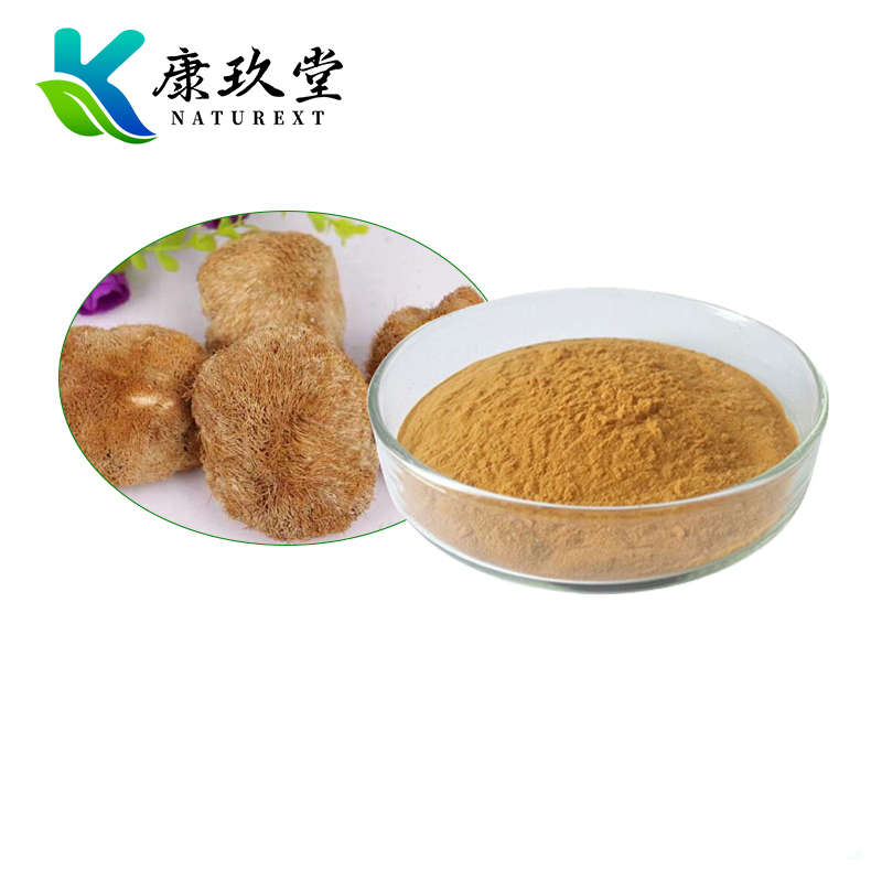 Organic Lion's Mane Mushroom Extract