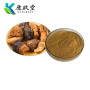 Organic Chaga Mushroom Extract