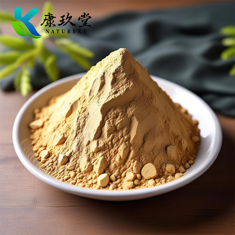 Organic Chaga Mushroom Extract