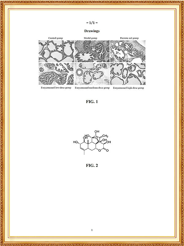 南非发明专利证书_09