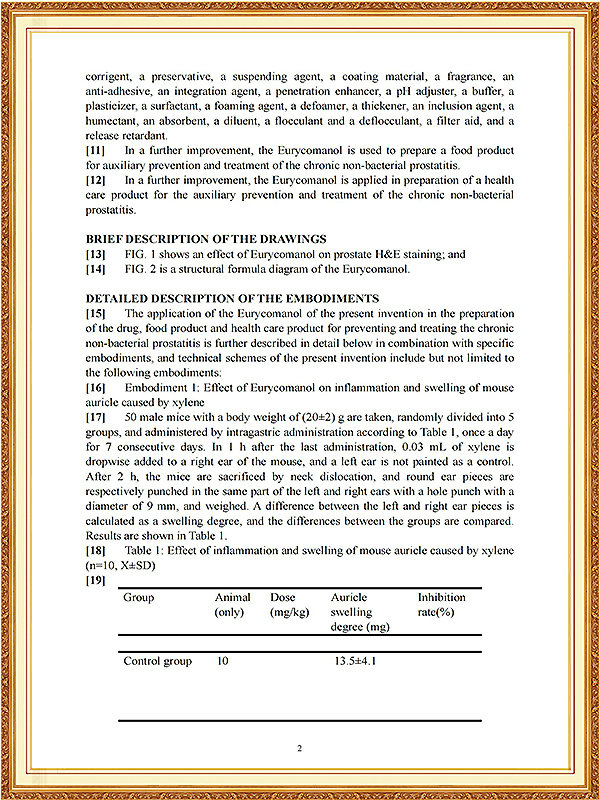 南非发明专利证书_04