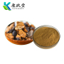 Organic Chaga Mushroom Extract