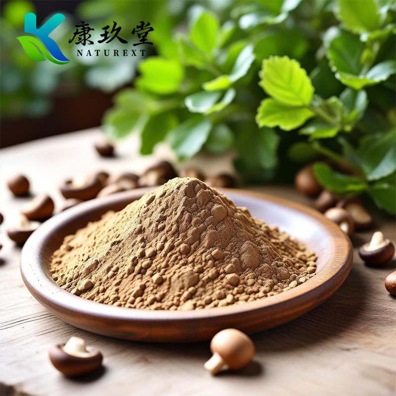 Organic Shiitake Mushroom Extract