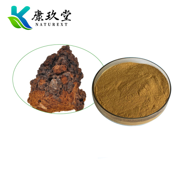 Organic Chaga Mushroom Extract