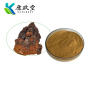 Organic Chaga Mushroom Extract