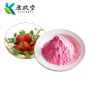 Strawberry powder