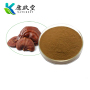 Organic Reishi Mushroom Extract