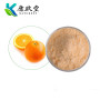 Orange Fruit Powder