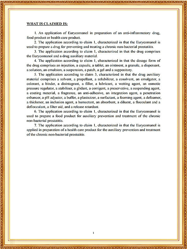 南非发明专利证书_08