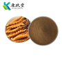 Cordyceps militaris Extract