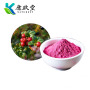 Cranberry Powder