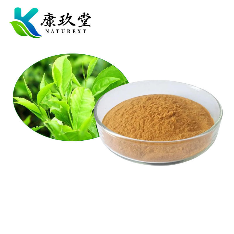Green Tea Extract