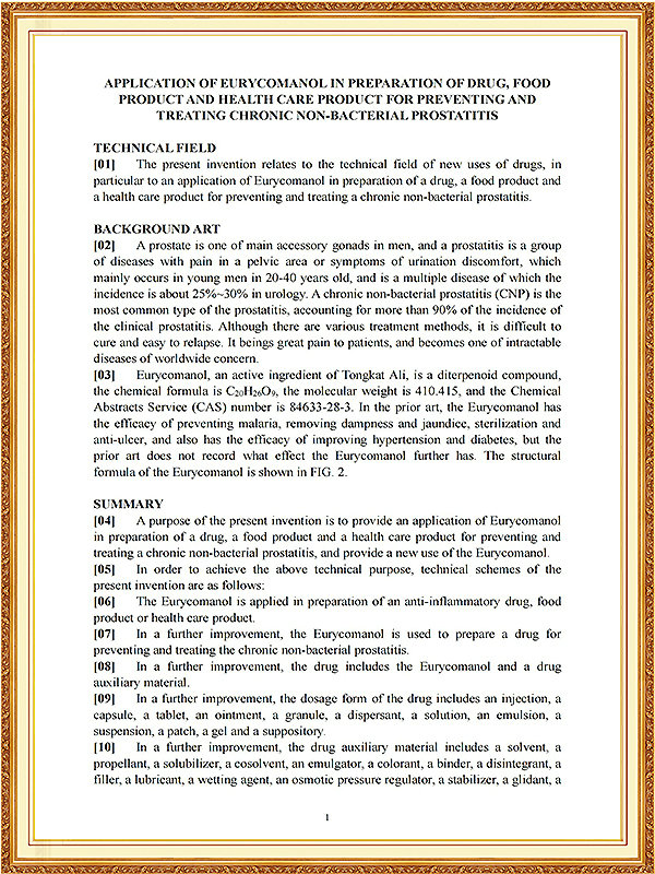 南非发明专利证书_03